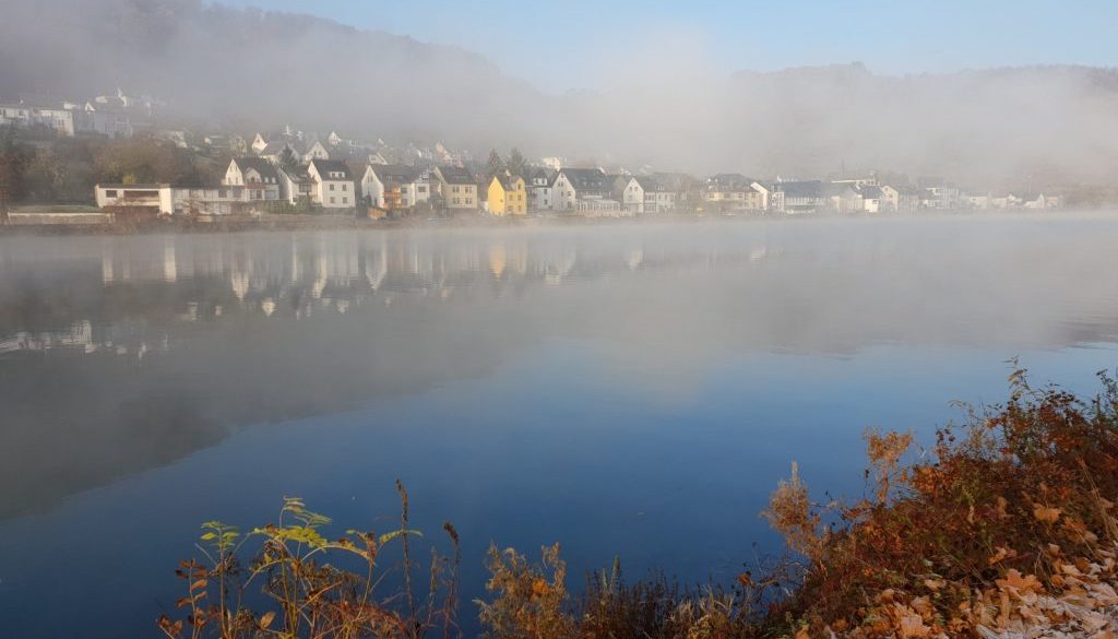 WhatsApp_Image_2019-09-05_at_095619