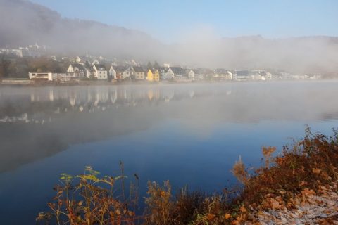 WhatsApp_Image_2019-09-05_at_095619